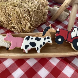 Children's Iced Biscuits