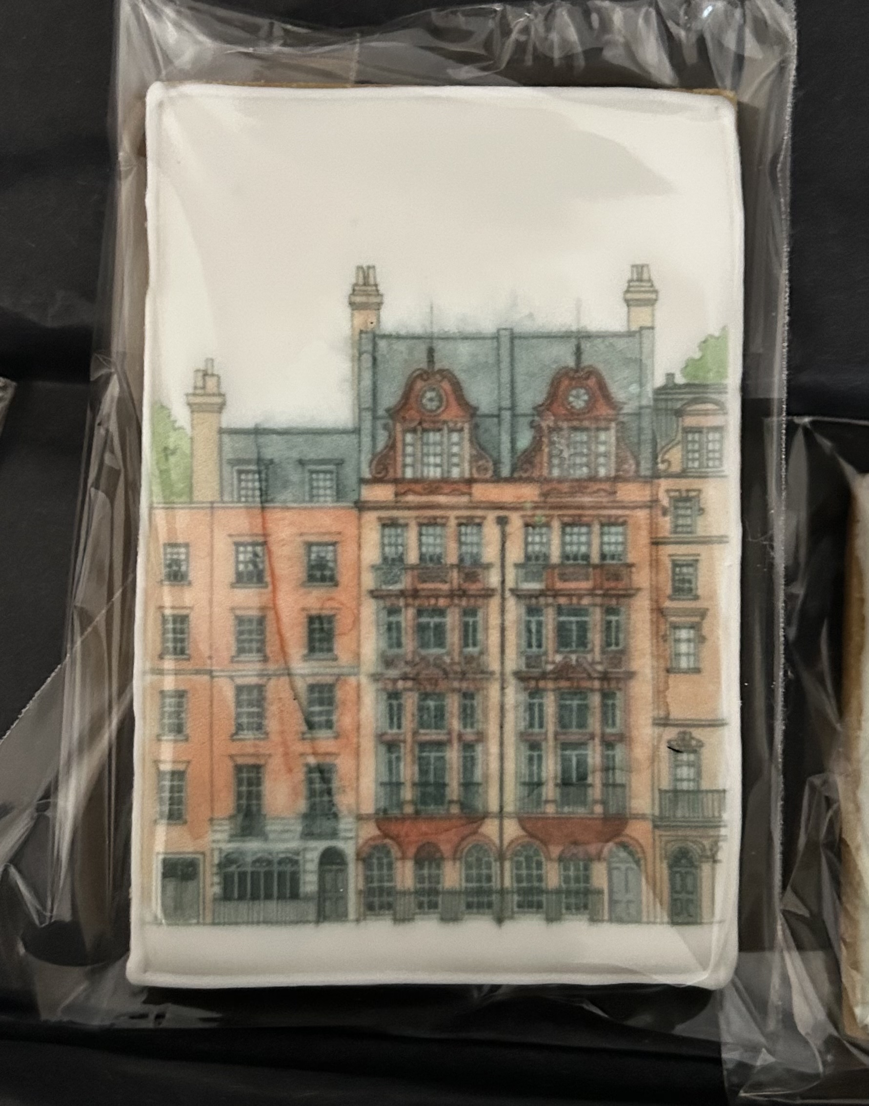 Printed biscuit